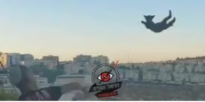 Jewish teen arrested after filming himself throwing kitten from 5 story building in Jerusalem as friends laughed
