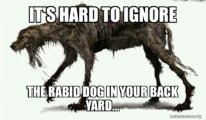 ‘I am afraid to drive through Haredi neighborhoods’