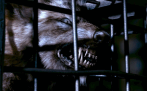 Ahead of talks with Iranians, Israel sets ‘red lines’ for Trump envoy Steve Witkoff